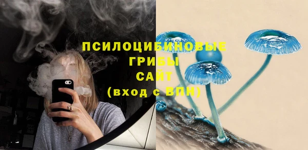 apvp Балабаново